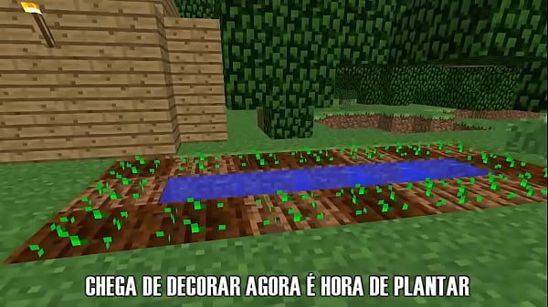 V&iacute;deo de verifica&ccedil;&atilde;o 