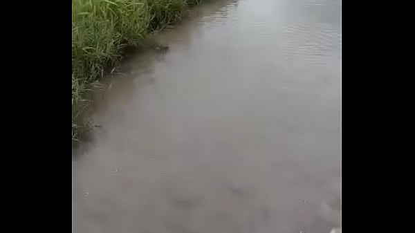 वेरीफ़िकेशन विडियो
