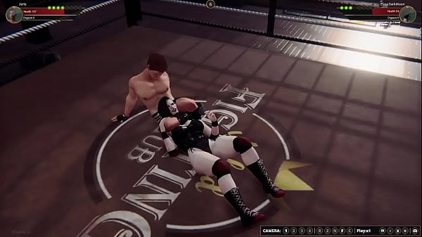 Jerle vs luna nf3d mixed mma combat 