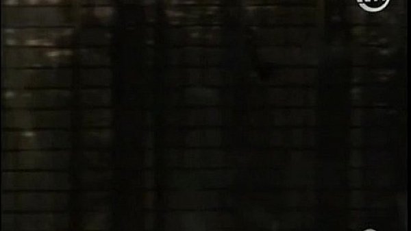 Taylor st clair loveclick