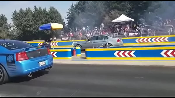 v a mi_mejor amigo Grillo en público