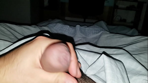 Mi sego