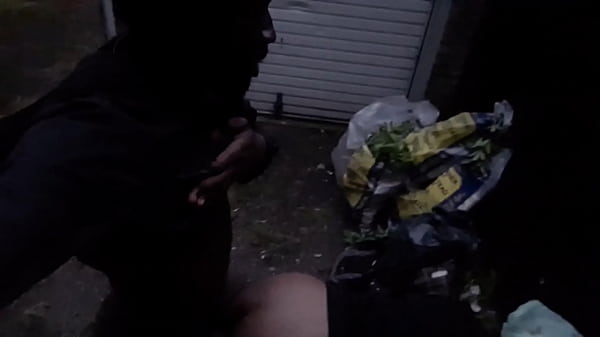 BLACK QUEEN PICKS A FUCK WITHTHE BIG BLACK COCK OF LEONARD BROSE