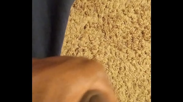 Www.xvideos.com 
