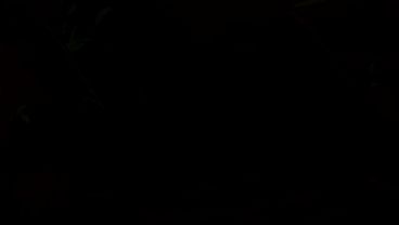 Nonton Succubus Mira | Game Announcement thumbnail