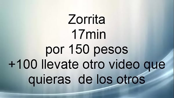 Zorrita