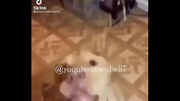 Si le sabe bv  1234Next SEXBOKEP adalah Website Bokep Indonesia Terbaru dan Terlengkap Gratis dimana Anda dapat menonton streaming video bokep dan download vidio bokep terbaru yang sedang viral dengan aplikasi bokep android, Aplikasi bokep free download simontok app terbaru 2026 for PC Mobile Online dan HP     Contact Us   DMCA   Disclamer   Privacy and Policy   Conditions of Use  &copy; 2026 SEXBOKEP All rights reserved