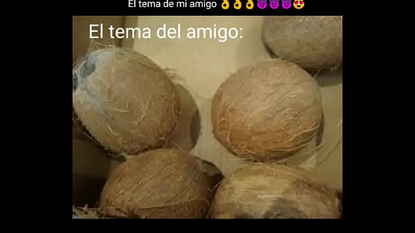 Tiraera pal alonso