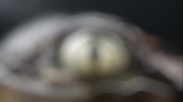 Nonton Joji thumbnail