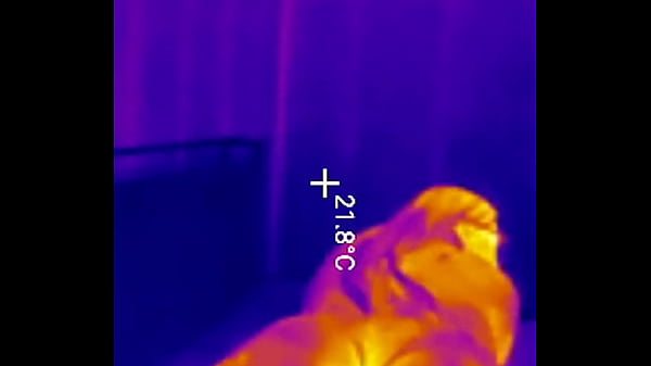 Sports bra try on complete collection with boob bounce tests and naked twerk tease 4k portrait 