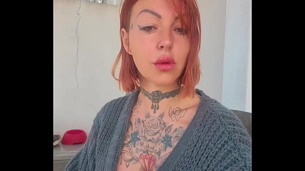 Nonton Les Shows Sont Ouvert Les Petits Chats thumbnail