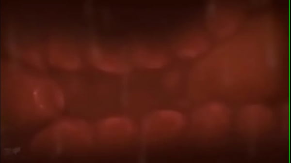 Nonton How Pregnancy Happens thumbnail