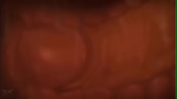 How pregnancy happens