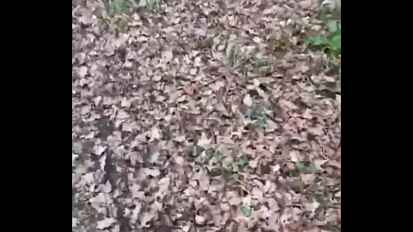 Some right weirdos about