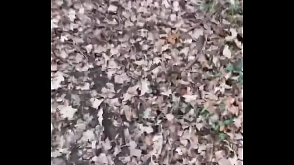 Some right weirdos about