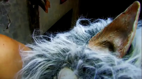 Questa brunagli piace farsi scopare nel culo da unosconosciuto