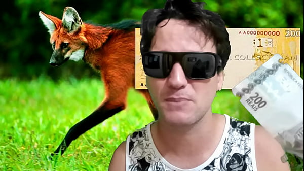 Me decepcionei com anota de200 reais