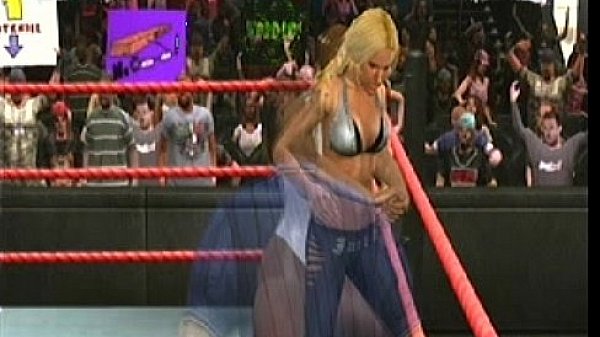 Nicole vs michelle mccool 