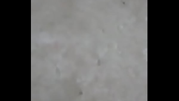 Tributo a la Pauu jeje