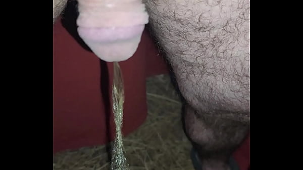 Play MP4 - Short pee outside at 6am