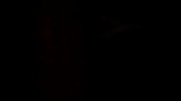 She likes to f*** ASAP 