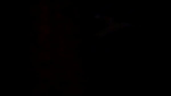 Down and dirty_momma al