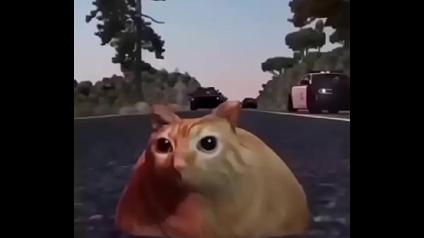 Nonton Branco Escapando De Quatro Rapazes Negros thumbnail