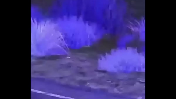 Branco escapando de quatro rapazes negros 