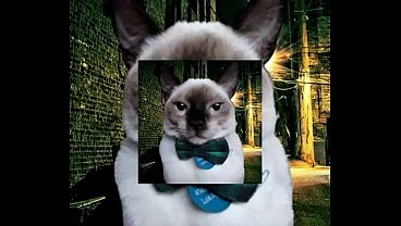 Nonton Ebook thumbnail
