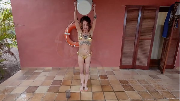 Katt noir the piss collector 