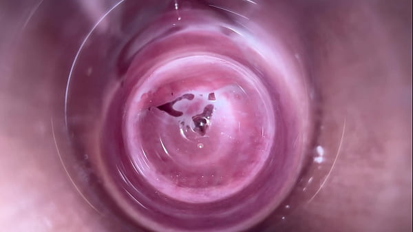 Inside The Pussy thumbnail