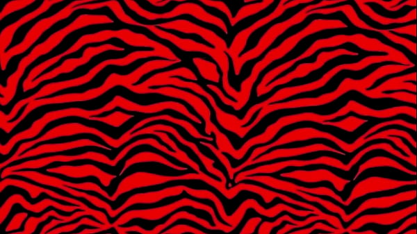 She_wanted to film content