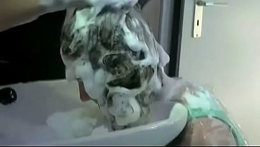 Tina Forward Hairwash 