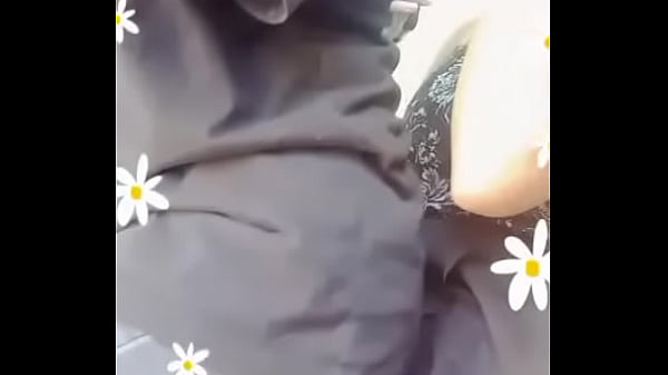 Paola mexicana