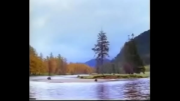 Nonton Bear3.mpg thumbnail