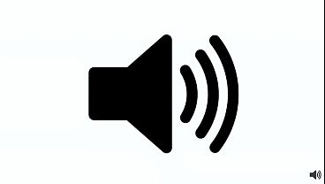 nunca sobra nada pro beta 