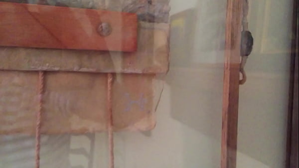 Edenism originator bill freeland