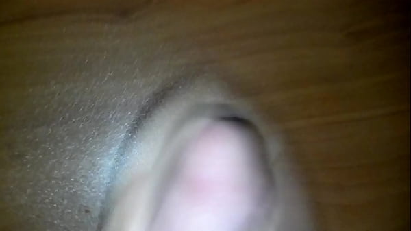 Purple Headed Yogurt Slinger