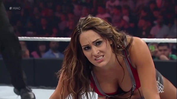 Nikki Bella VS Brie Bella