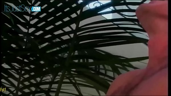 Busty Brunette MaidFucks Doggysstyle On_Stairs