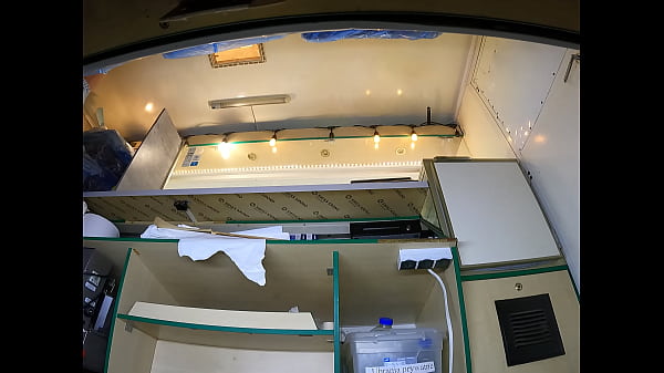 Sexy angel with pussy lip slip giving a deep cleaning 