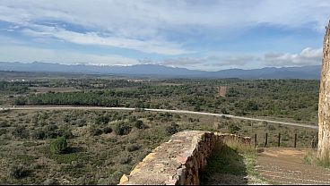 Nonton Accidental Blowjob Outdoors - I Cum Very Fast In His Mouth, They Almost See Us, Risky Homemade Sex thumbnail