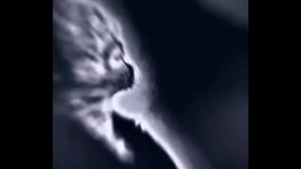 Melhor edit do mundo 