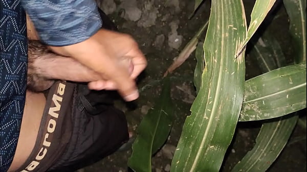 Play MP4 - horny indian boy cumshot in night at corn field- outdoor compilation cumshot