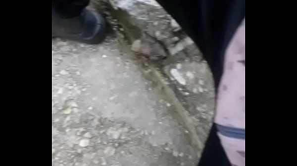 Tudo de bom