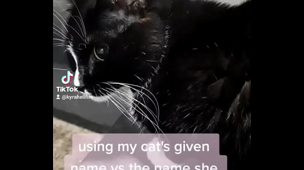 Using my cats given name vs the name she chose for herself 