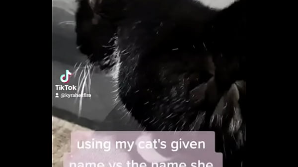 Nonton Using My Cats Given Name Vs The Name She Chose For Herself? thumbnail