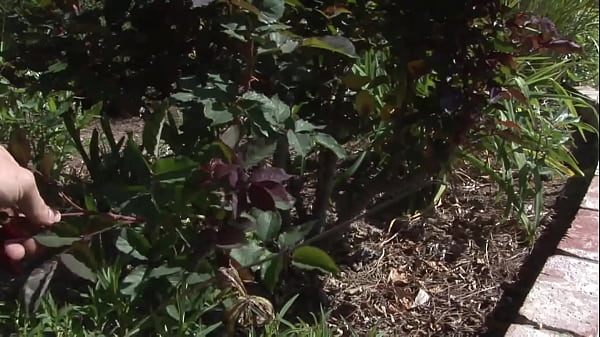 Nonton It's A Big Slice Of Teen Ass Heaven And We Know You're Going Love It! thumbnail