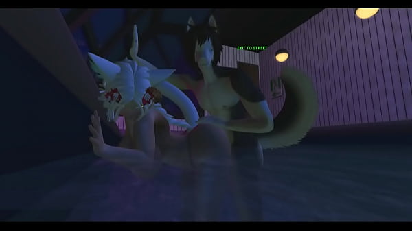 Second the cat's moon 