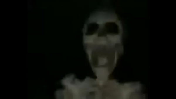 XD?